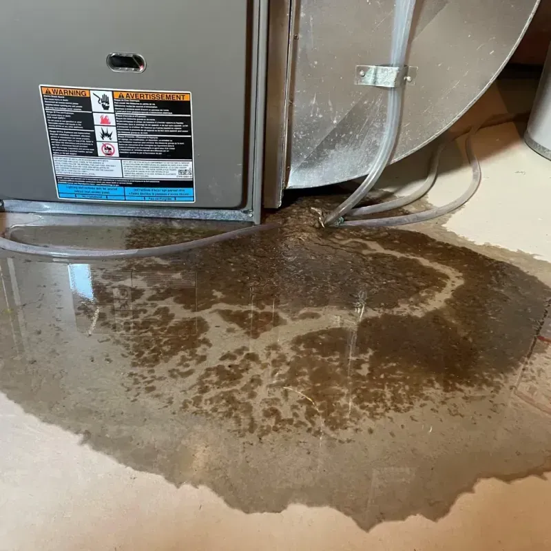 Appliance Leak Cleanup in Terrace Heights, NY